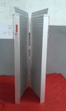 272kgs Wheel chair ramps with pin and lock